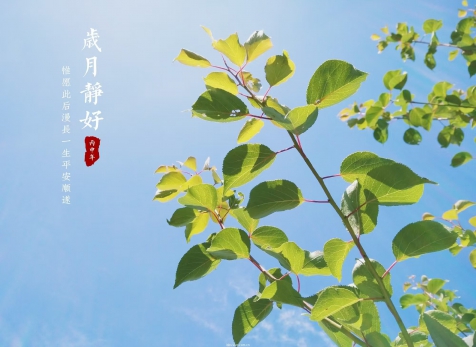 愿歲月靜好，山河無(wú)恙